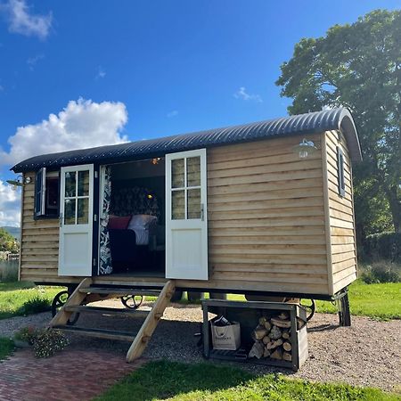 Toadland Shepherd Huts Ντάρχαμ Εξωτερικό φωτογραφία